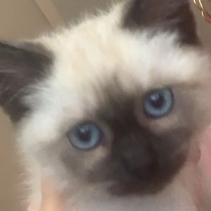 Meet your Posher, Makayla